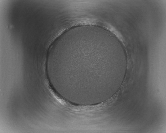 X0000070380009200606091137