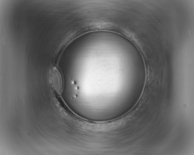 X0000070380010200606091137