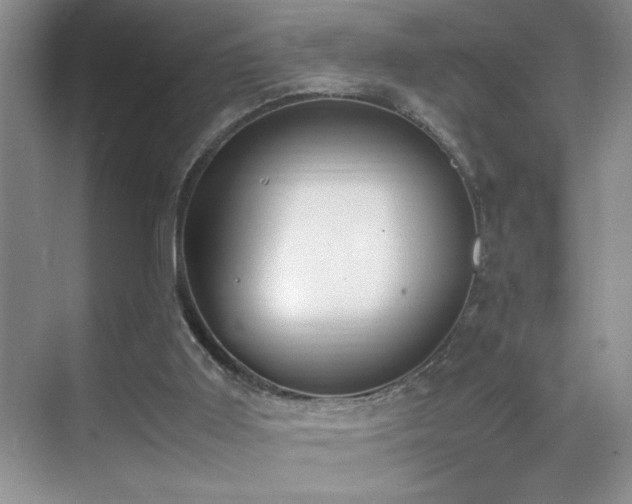 X0000070380011200606091137