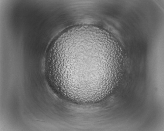 X0000070380012200606091137