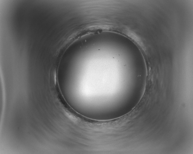 X0000070380013200606091137