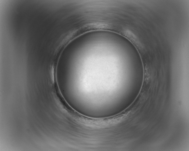 X0000070380014200606091137