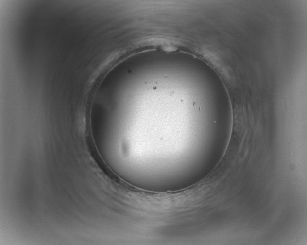 X0000070380015200606091137