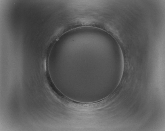 X0000070380019200606091137