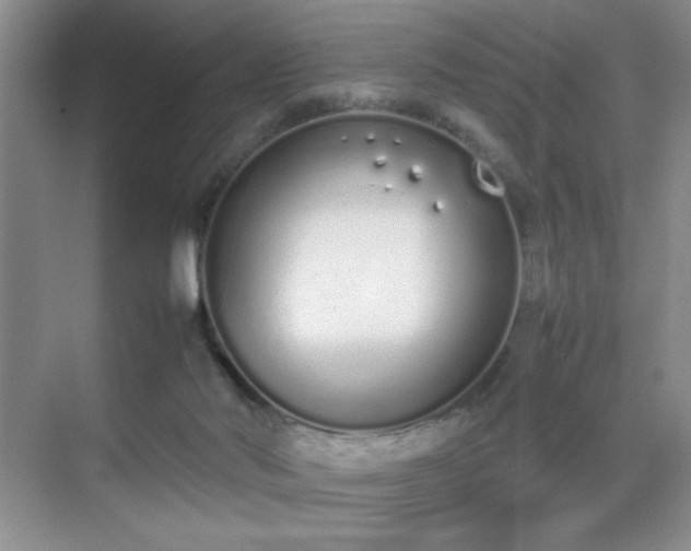 X0000070380022200606091137