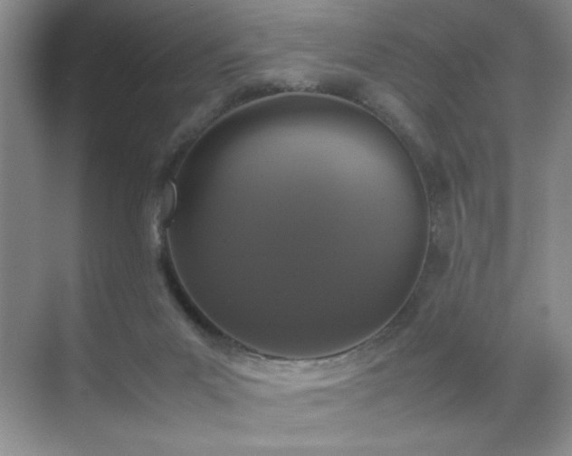 X0000070380023200606091137