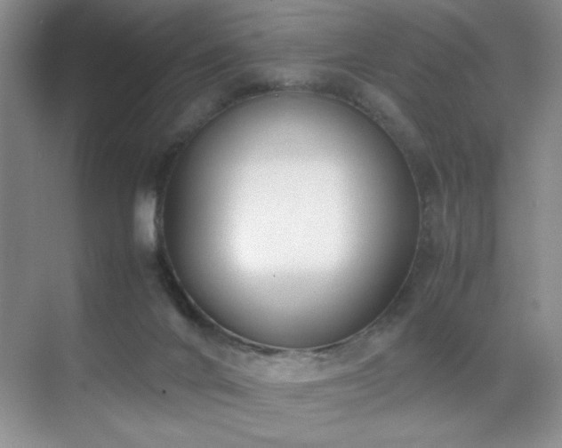 X0000070380024200606091137