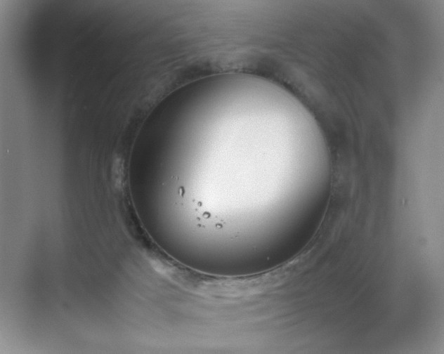 X0000070380025200606091137