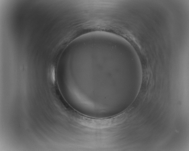 X0000070380027200606091137