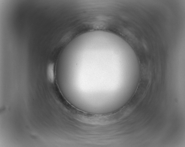 X0000070380028200606091137