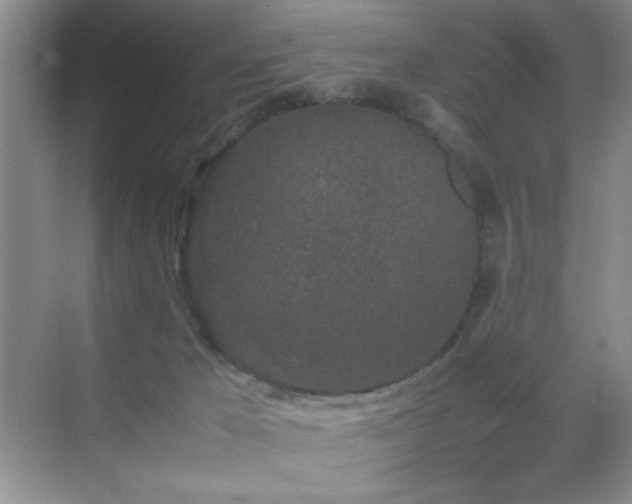 X0000070380029200606091137