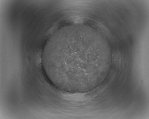 X0000070380032200606091137