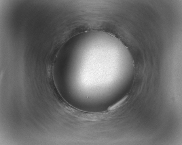 X0000070380033200606091137