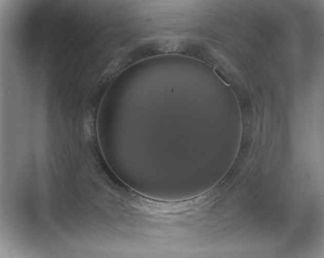 X0000070380035200606091137