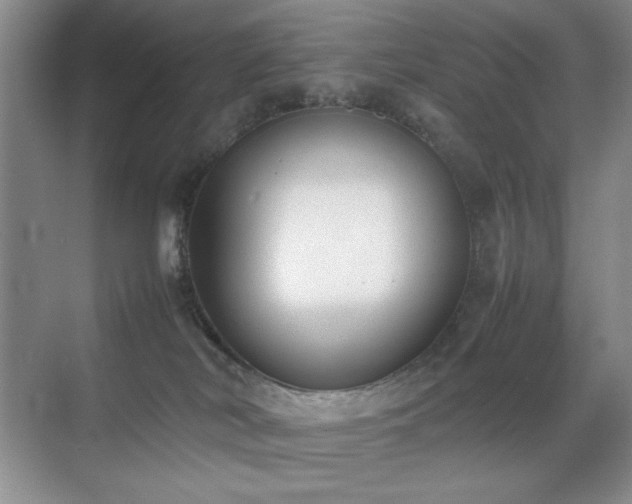 X0000070380038200606091137