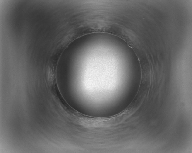 X0000070380040200606091137