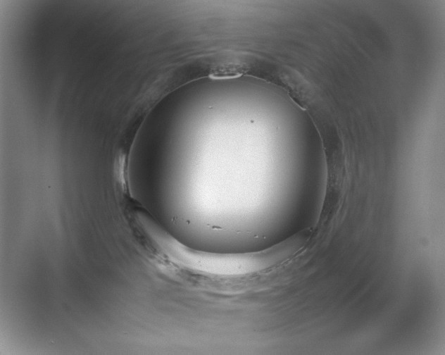 X0000070380041200606091137