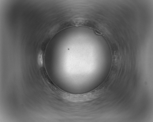 X0000070380042200606091137