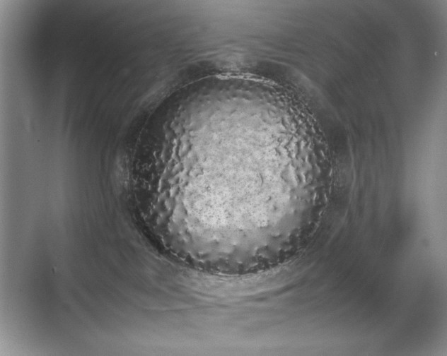 X0000070380043200606091137