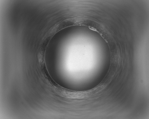 X0000070380044200606091137