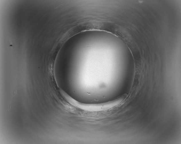 X0000070380045200606091137