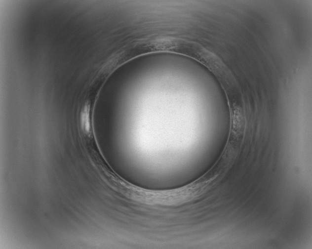 X0000070380046200606091137