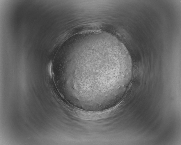 X0000070380047200606091136