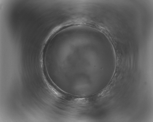 X0000070380054200606091136