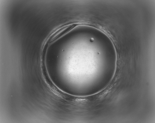 X0000070380055200606091136