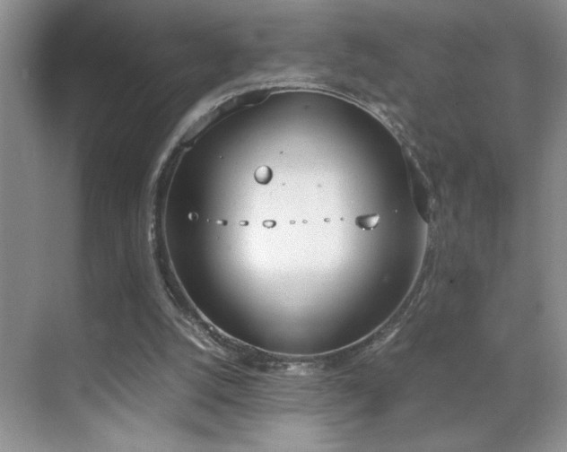 X0000070380056200606091136