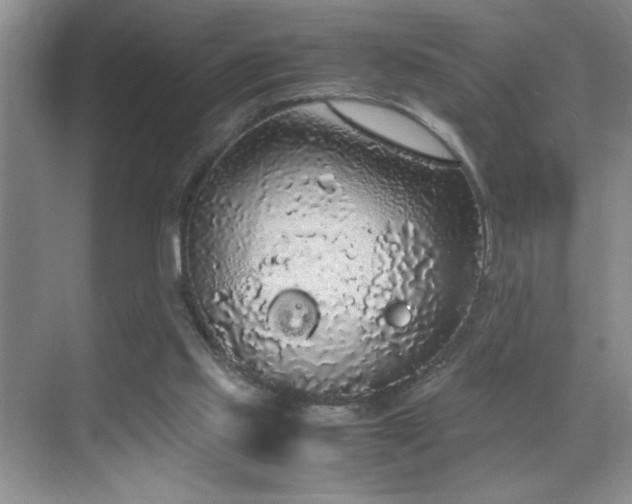 X0000070380061200606091136