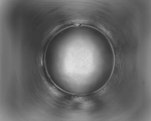 X0000070380062200606091136