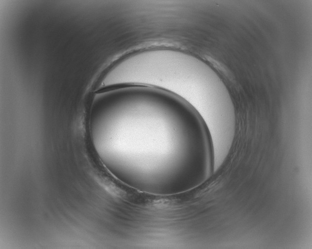 X0000070380064200606091136