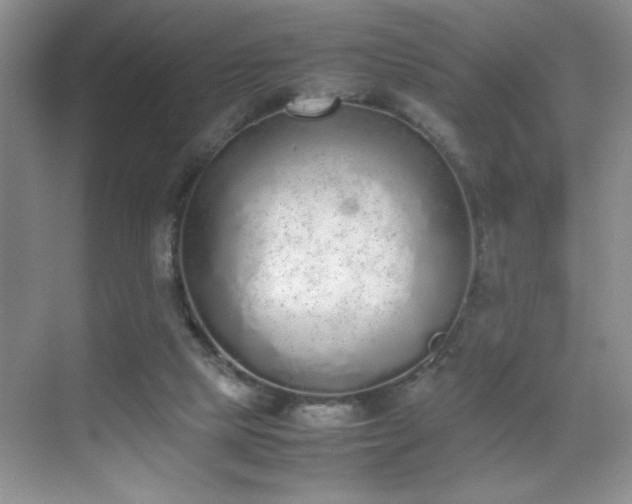 X0000070380065200606091136