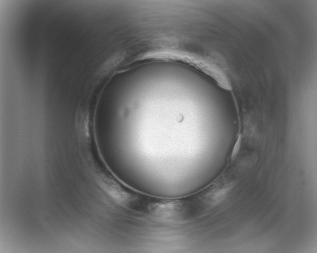 X0000070380068200606091136