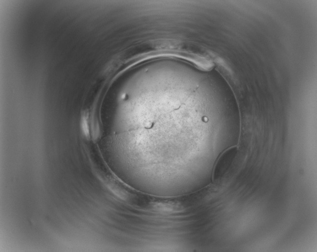 X0000070380069200606091136