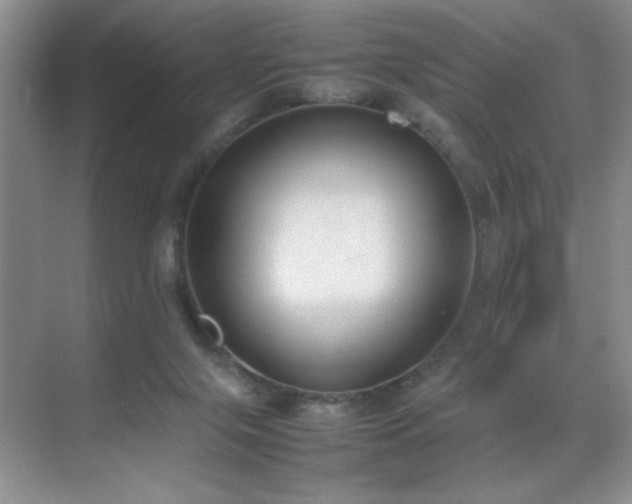 X0000070380071200606091136