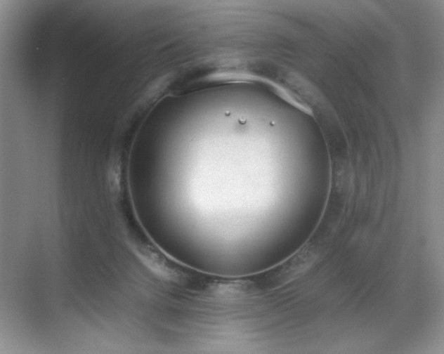 X0000070380072200606091136