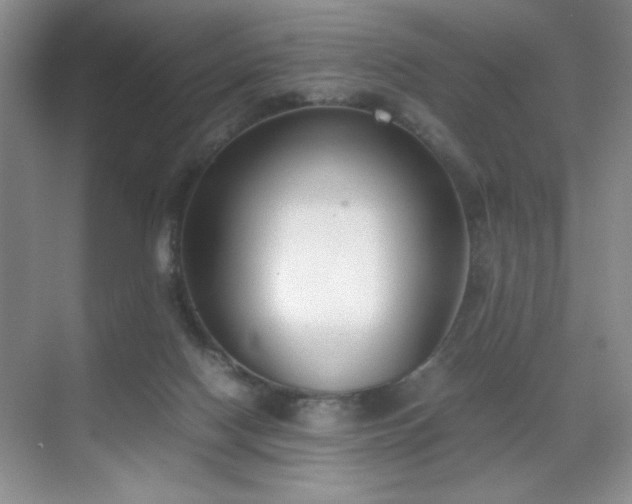 X0000070380074200606091136