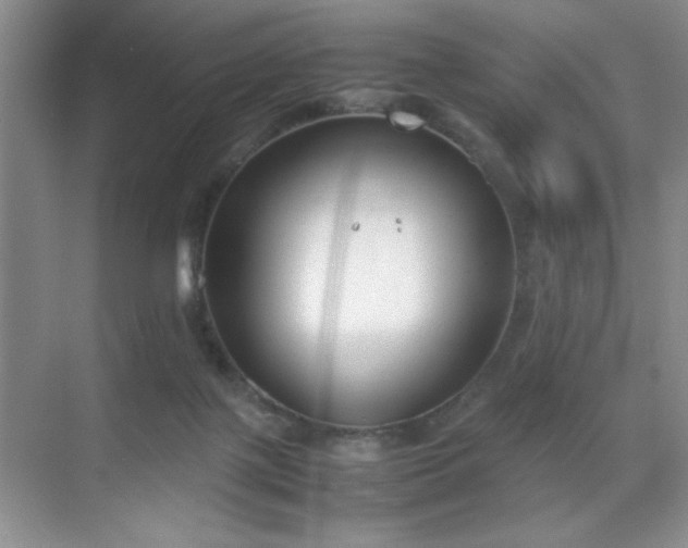 X0000070380075200606091136