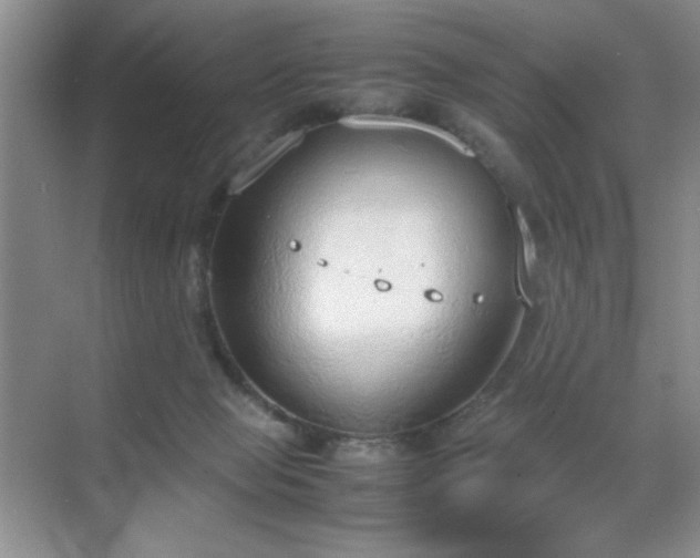 X0000070380077200606091136