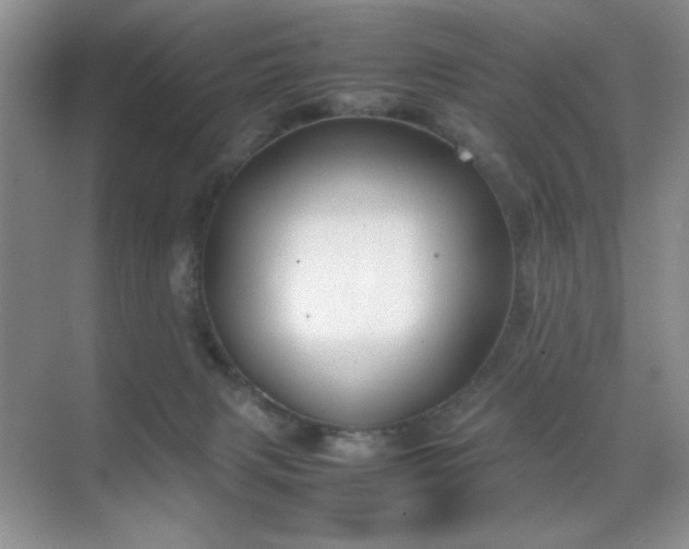 X0000070380079200606091136