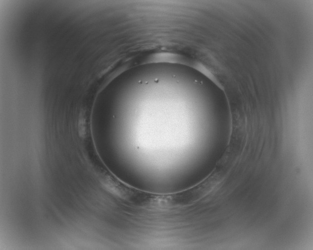 X0000070380080200606091136