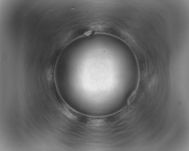 X0000070380081200606091136