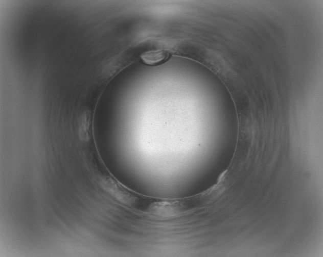 X0000070380082200606091136