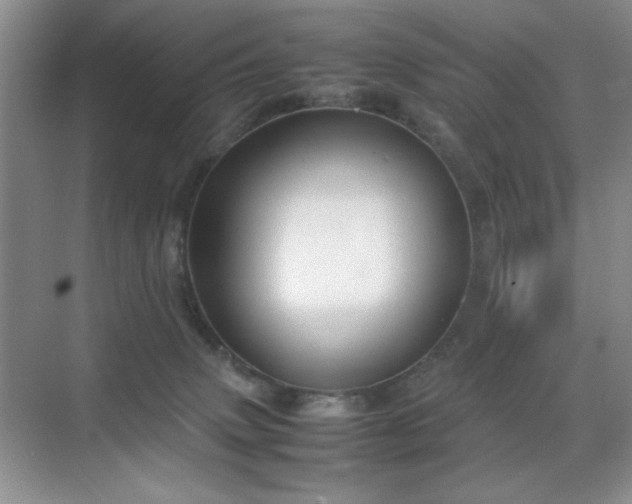 X0000070380083200606091136