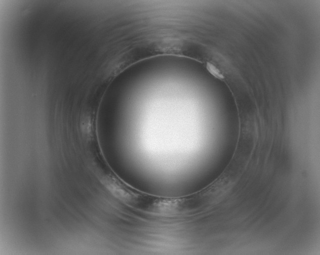 X0000070380084200606091136