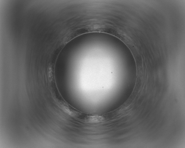 X0000070380087200606091136