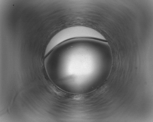 X0000070380088200606091136