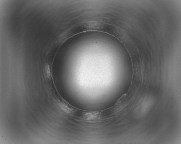 X0000070380089200606091136